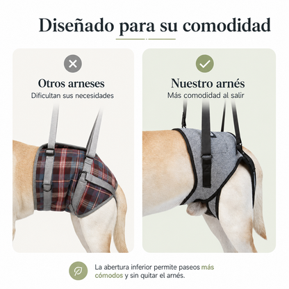 Arnés de soporte y apoyo para tu perro