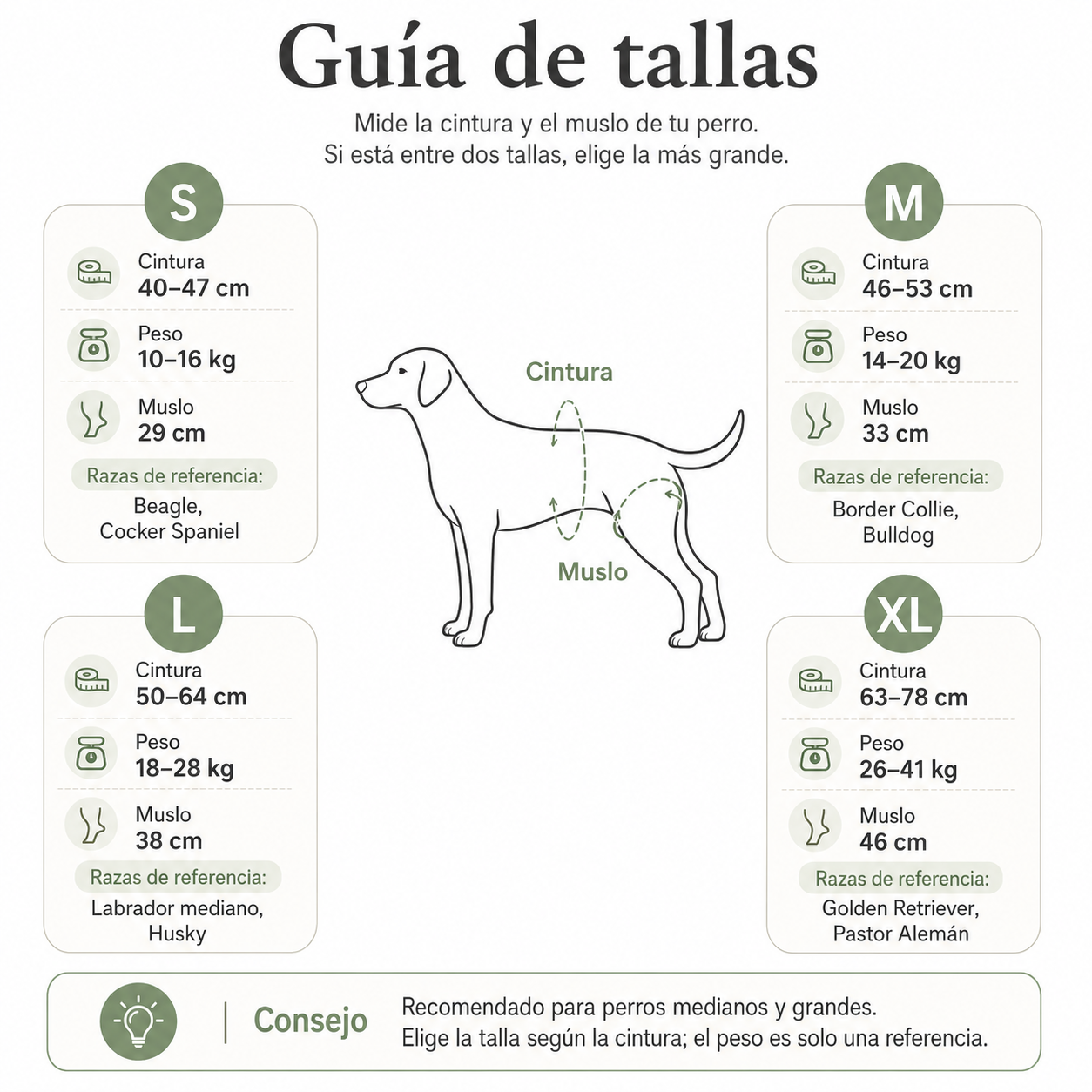 Arnés de soporte y apoyo para tu perro