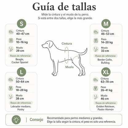 Arnés de soporte y apoyo para tu perro