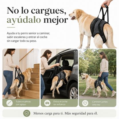 Arnés de soporte y apoyo para tu perro