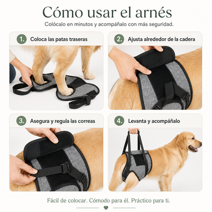 Arnés de soporte y apoyo para tu perro