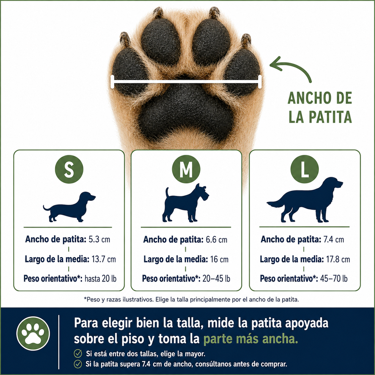 Calcetines Antideslizantes para perros