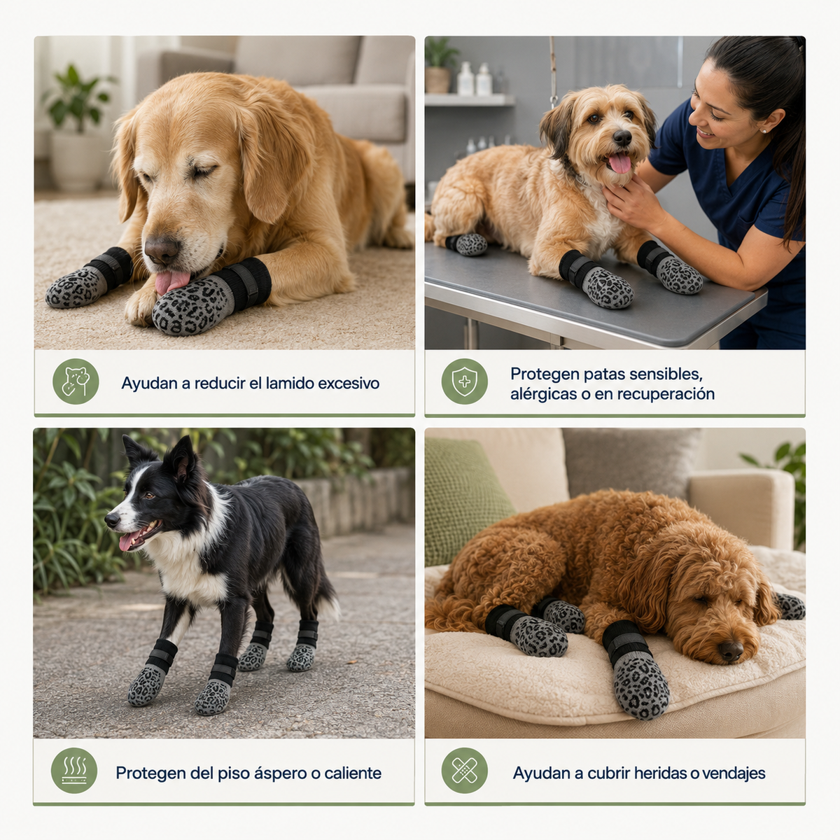 Calcetines Antideslizantes para perros